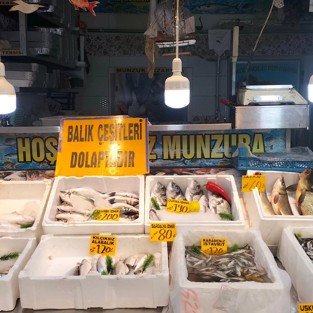 Munzur Balıkçısı 